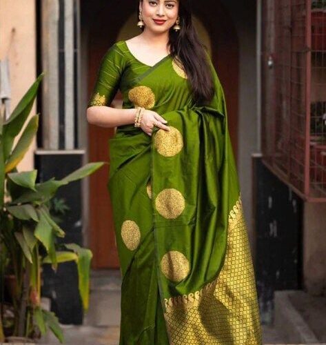 Silk Sharee with Blo