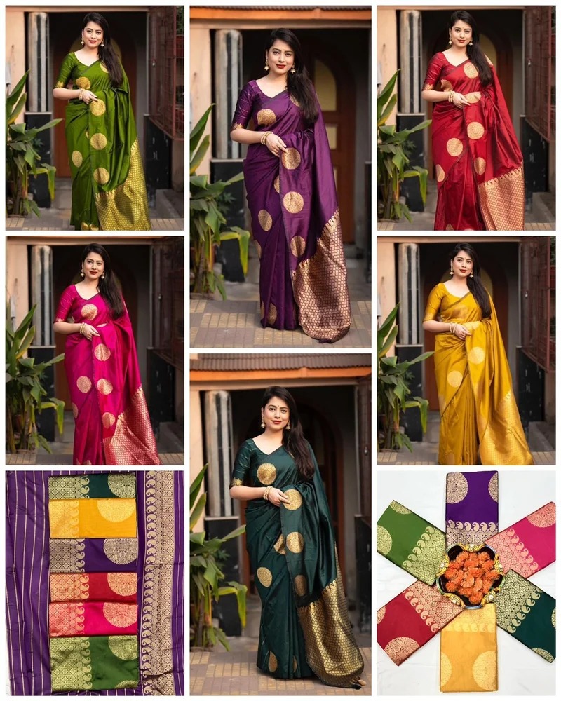 Silk Sharee with Blo